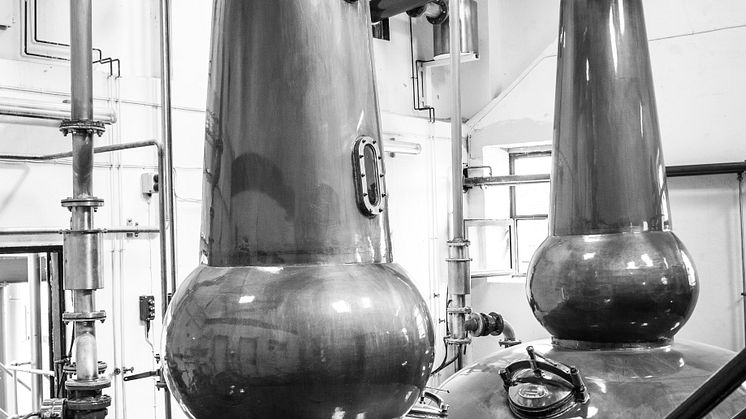 anCnoc Stills