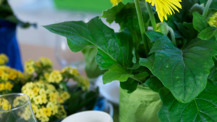 Blomsterfrämjandet dukar till fest!