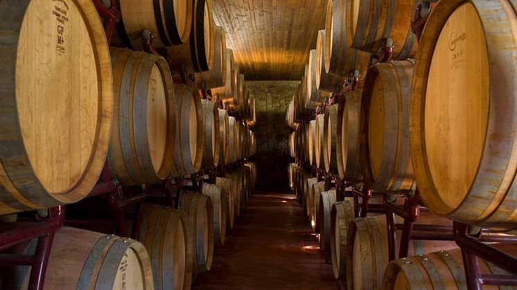 120_RoccadelleMacie_1525_barriques