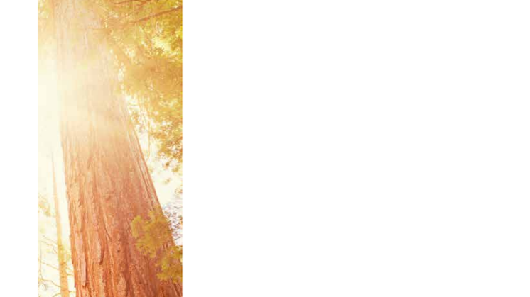 The Deloitte/ SEB CFO Survey - spring 2015