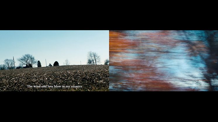 Tram Luong: Elegy For The Time Being (2017)