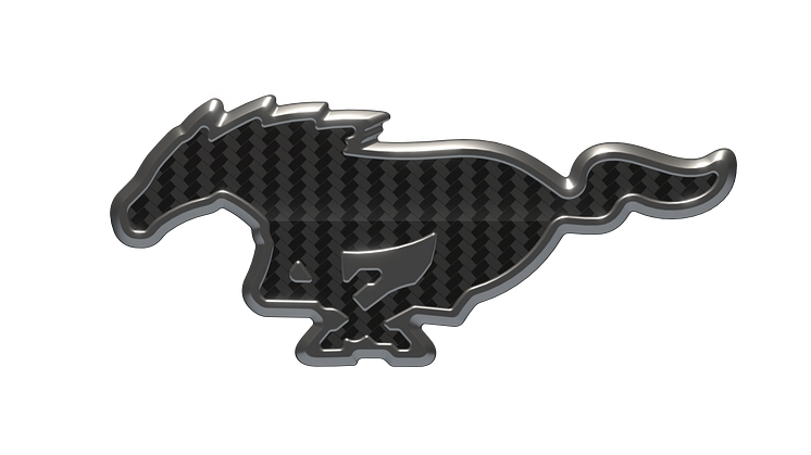 Mustang Pony
