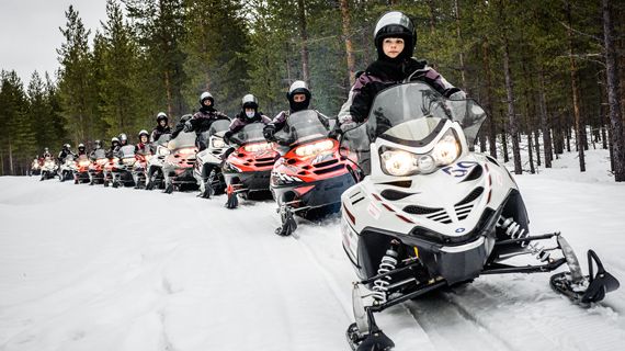 Internationella företagsgrupper väljer Skellefteå