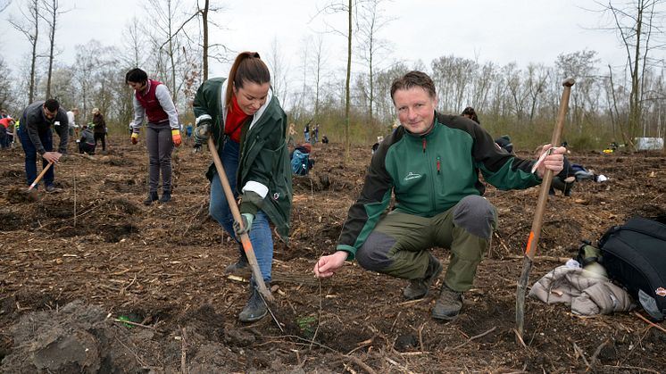 Waldmeisterschaft 2024 - Pflanztermin am Kulkwitzer See