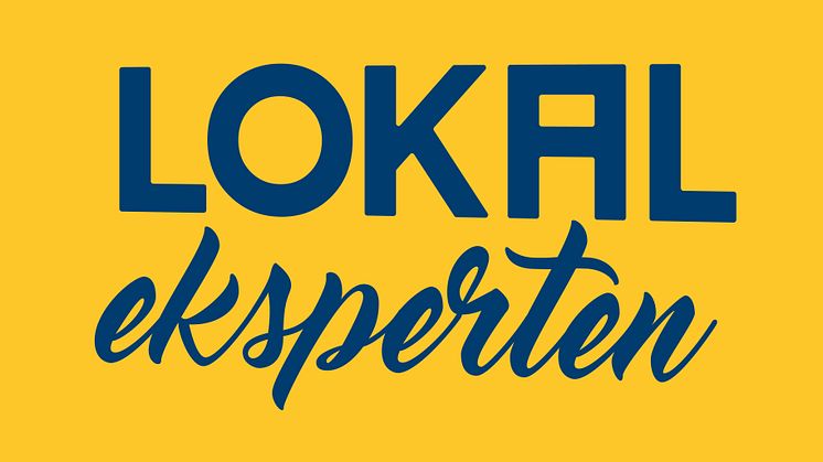 Hella Service Partner udvider logoet: Vil promovere sig som lokal ekspert