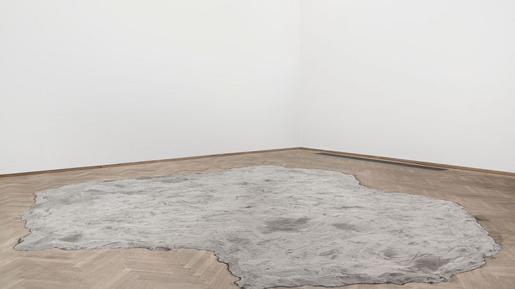 Roger Hiorns, Untitled (2008).