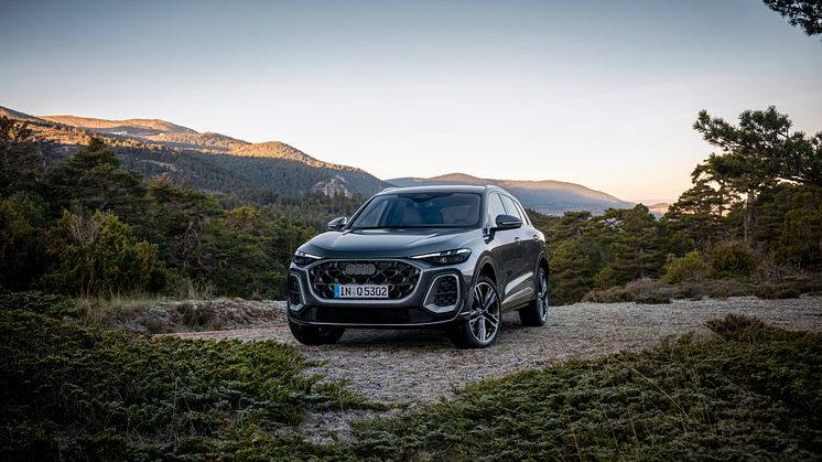 Audi Q5 (Daytonagrå perleeffekt)
