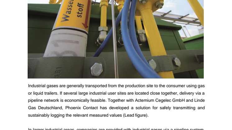 Monitoring an industrial gas distribution network based on Resy+