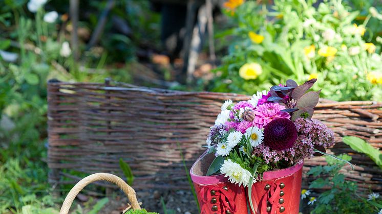Välkommen till Elmia Garden