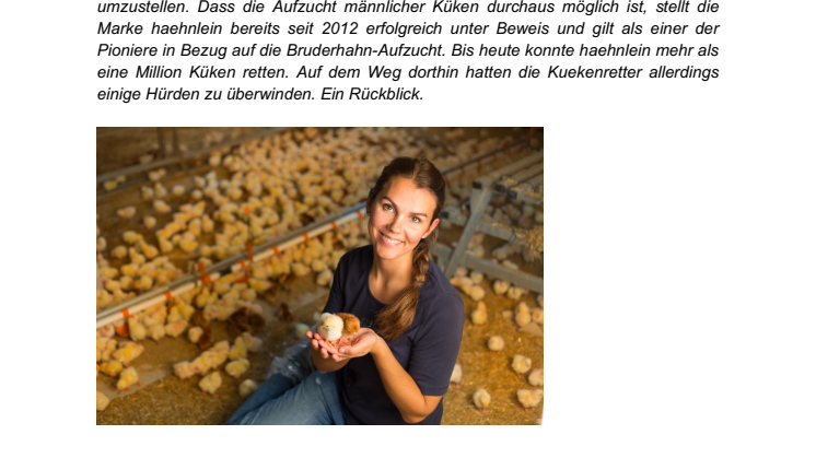 Geht nicht, gibt’s nicht: haehnlein rettet mehr als eine Million männliche Küken