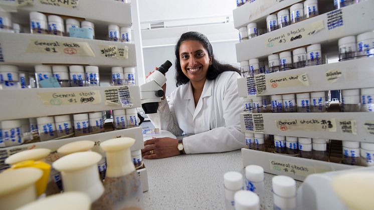 Dr Tora Smulders-Srinivasan