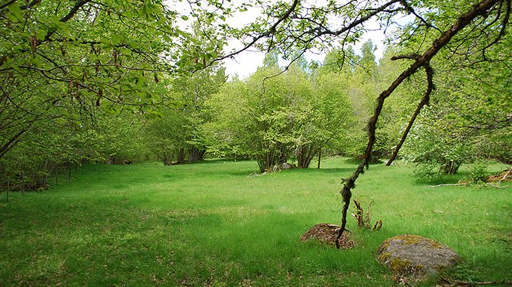 Färska uppgifter om länets Natura 2000-områden