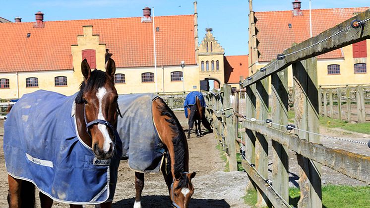 Kostnadsfritt webbinairum tillsammans med Flyinge AB