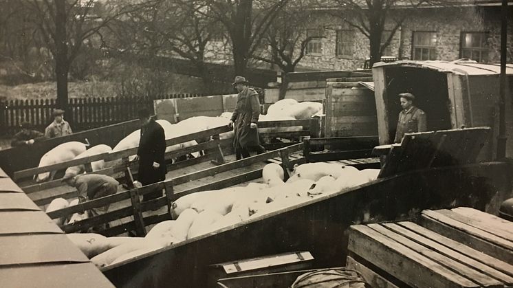 Slakthuset 1955
