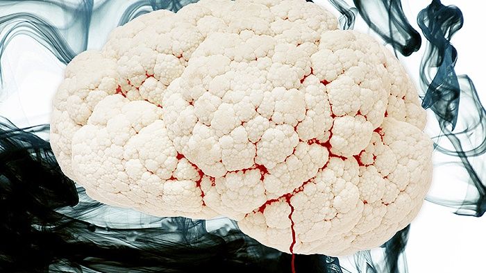 Food of the future: worms, grasshoppers, or human flesh?