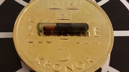 Microchip