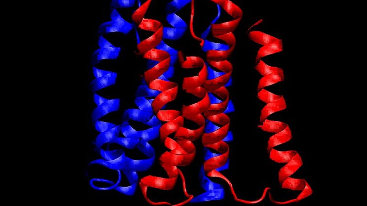 Ett typiskt membranprotein