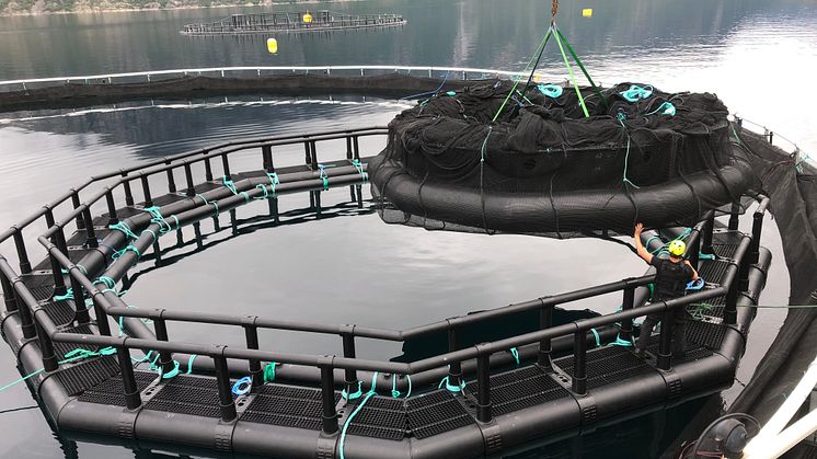 iFarm components at sea site