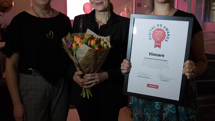 Svenska Downföreningen - Offentlig Sektor & Ideella Organisationer