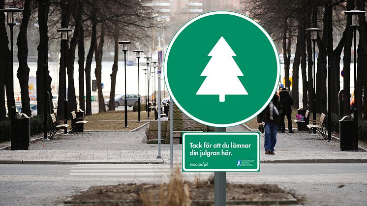 ​23 nya uppsamlingsplatser för julgranar