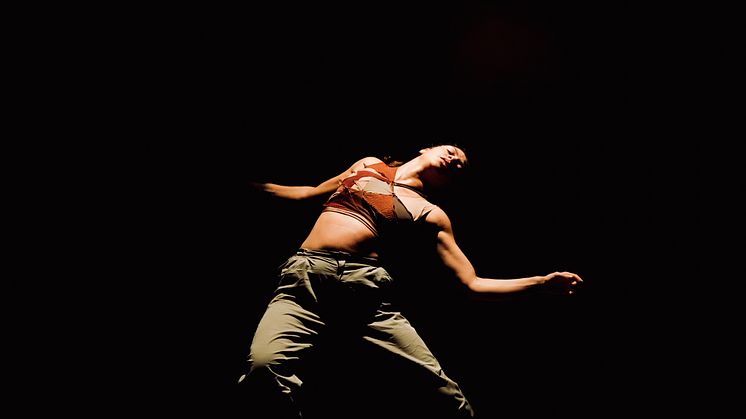 Company Nicolas Huchard - The barefoot diva