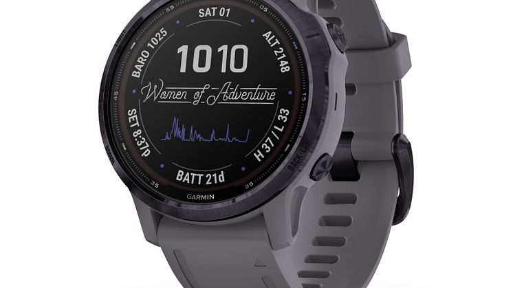 fēnix 6S Pro Solar_Amethyst Steel with Shale Gray Band.jpg