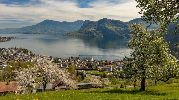 Hergiswil-Panorama-Spring-Lake-Lucerne-Trees_(c) Nidwalden Tourismus.jpg