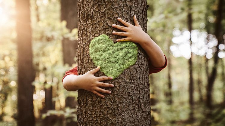 ©istock/Przemyslaw Koch