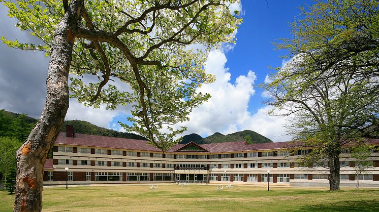 Nikko Astrea Hotel Spring