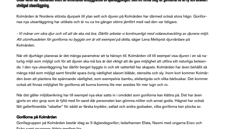 Större område att upptäcka för Kolmårdens gorillor