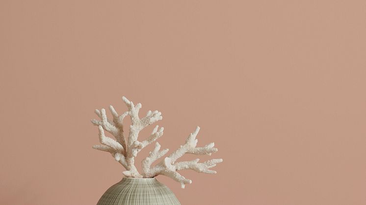 LADY Spring Summer collection 2018