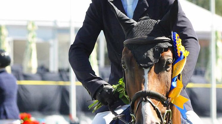 Robin Ingvarsson vann finalen av 7-star