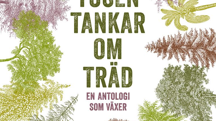 Stjärnspäckad trädantologi hyllar skogen