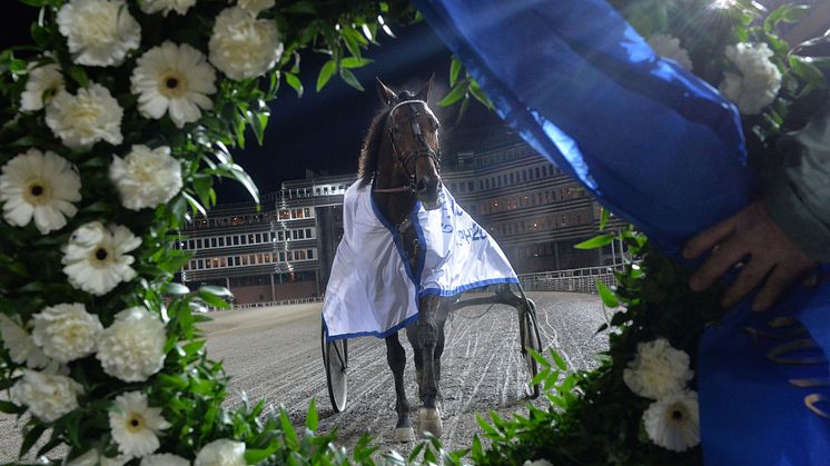 Annandag jul: Extra V75 på Solvalla med Maharajah