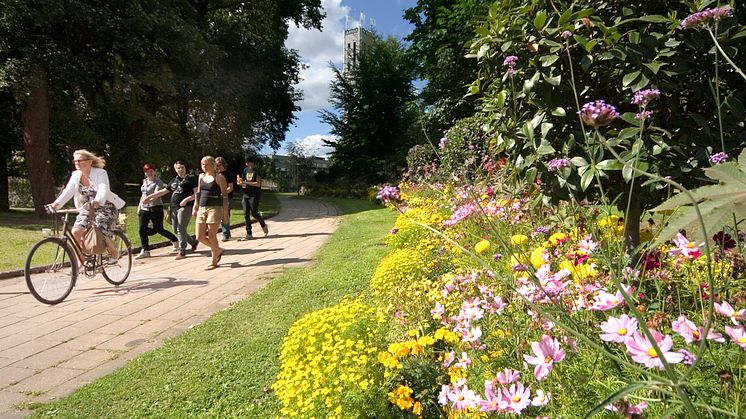 Vasaparken