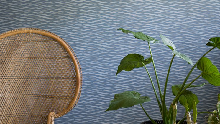 Eco Simplicity, 3676