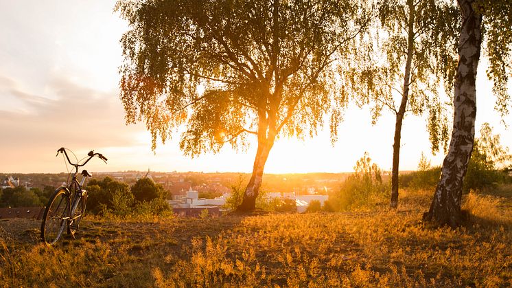 Abendstimmung in Freiberg / Foto: TVE _Greg Snell_snellmedia.com  