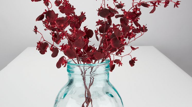 VASE_GERD.tif