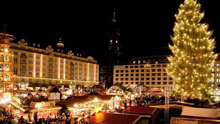9. Weihnachtsbaum in Dresden