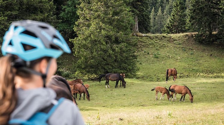 Courtelary: Bikerin auf der Jura Bike Route