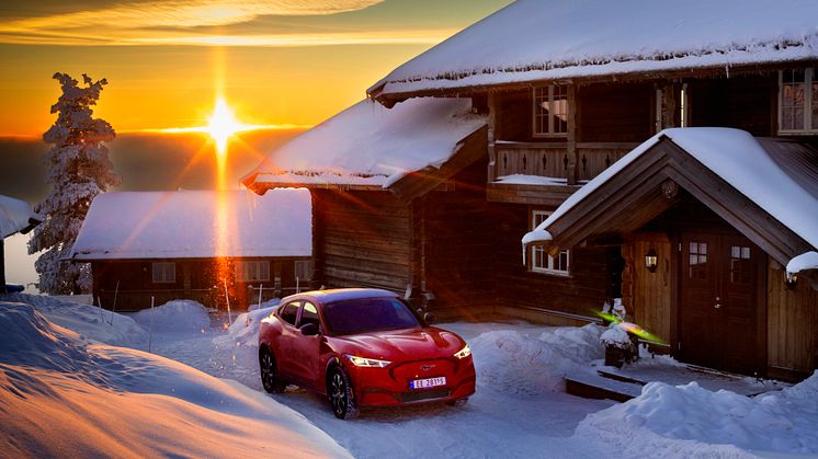 Ford Mustang Mach-E Vinter 2022