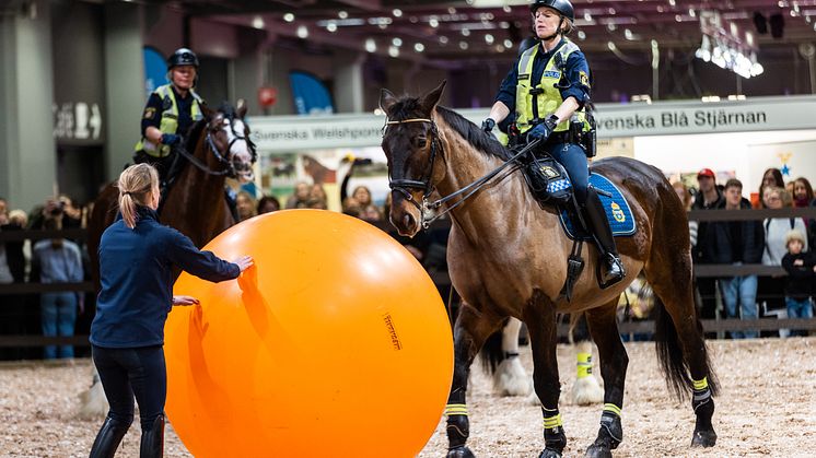 Polisrytteriet på EuroHorse