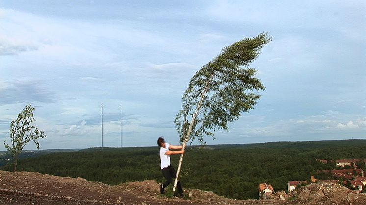 Moulding Nature – Hanna Ljungh – Vedergällning