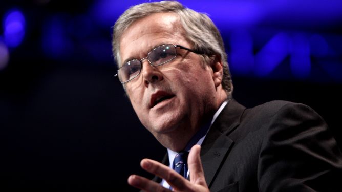 Jeb Bush