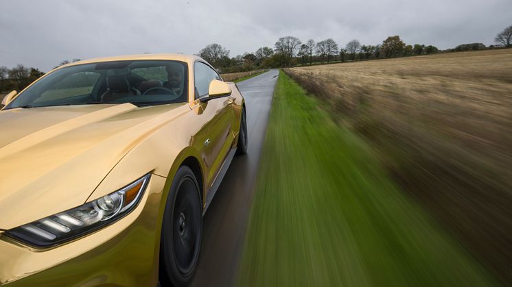 The Golden Mustang