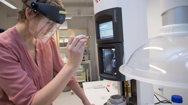 Linda Sandblad är forskare på Kemiska institutionen vid Umeå universitet och anknuten till Molecular Infection Medicine Sweden, MIMS. 