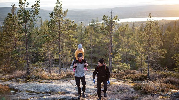 En framgångsfaktor i utvecklingen av besöksnäringen i Höga Kusten - är tillsammansandan.