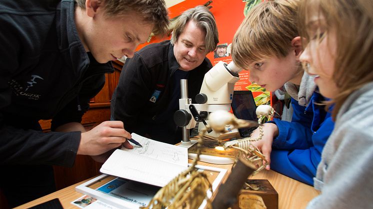 Naturhistorisk Museum, fossildagen og utdeling av støtte til fossiler
