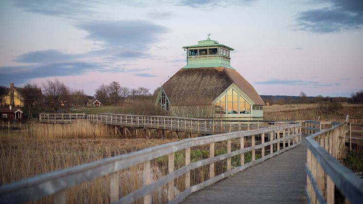 Naturum Hornborgasjön öppnar med vernissage