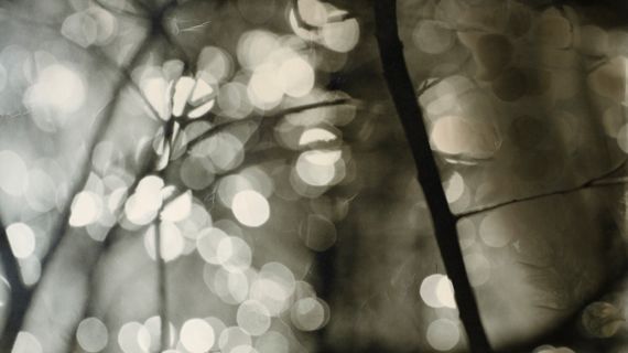 Åke E:son Lindman i Gallerigången, Hasselblad Center